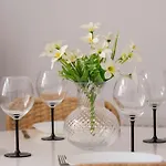 Dietla Family In Center By Renters * Krakau